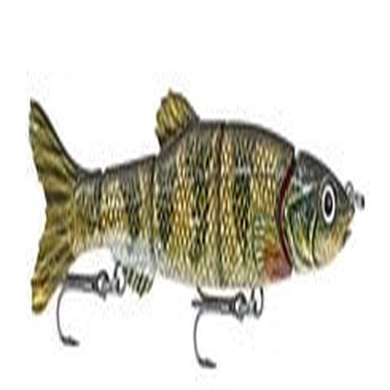 Doragon Minnow Pike Hard Bait – 6″