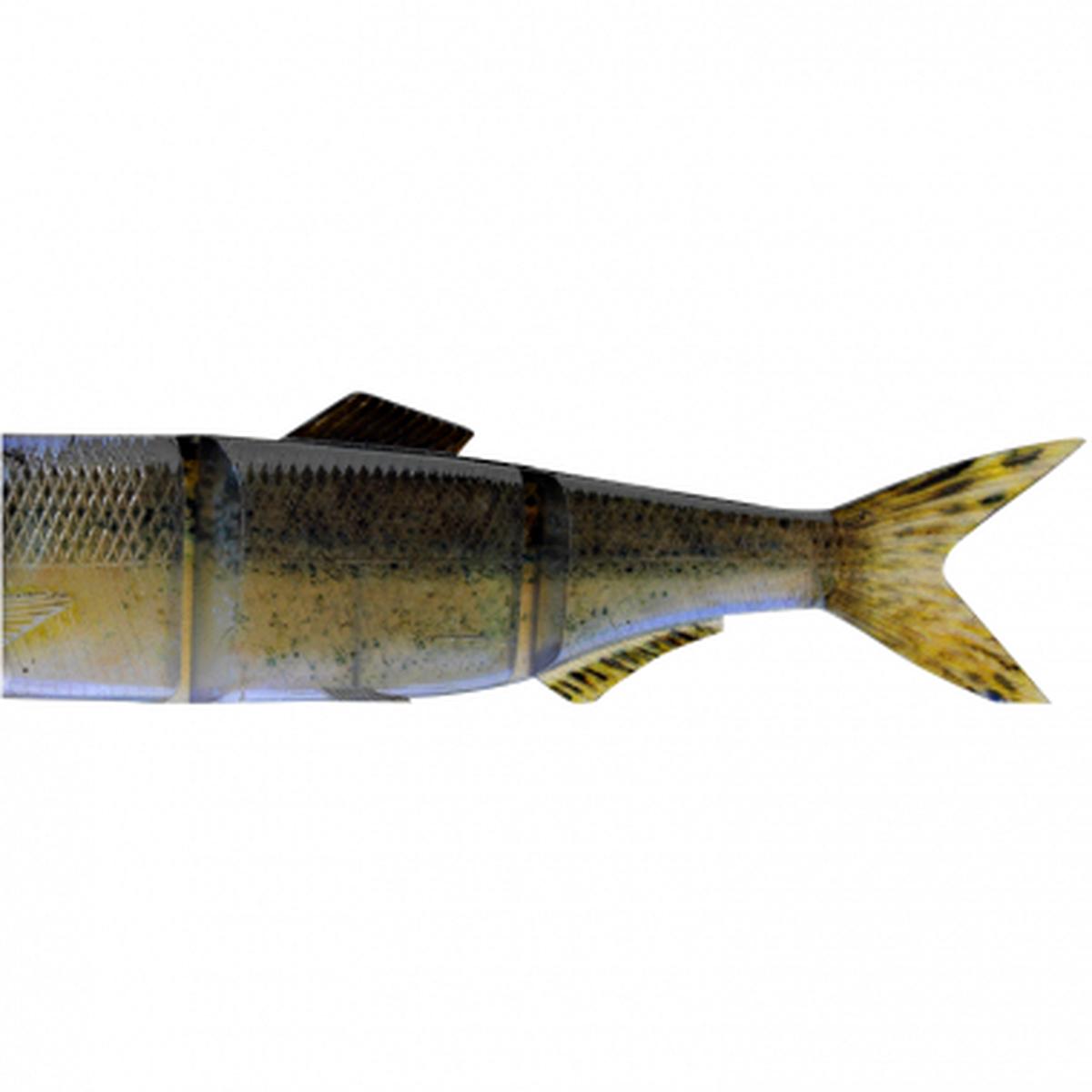 Hybrid Swimbait Replacement Tails (3D Baby Zander)