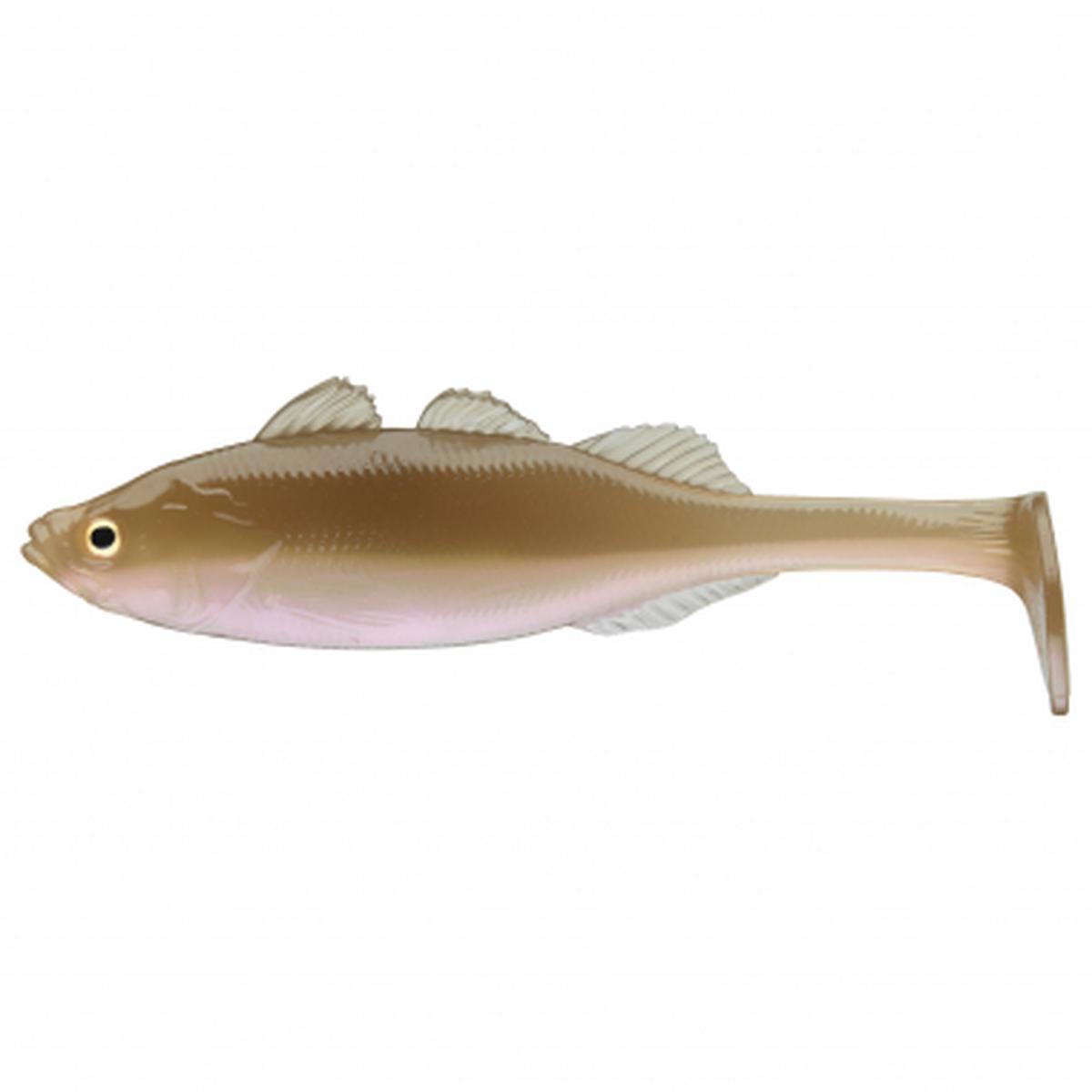 Live Perch (Wakasagi)