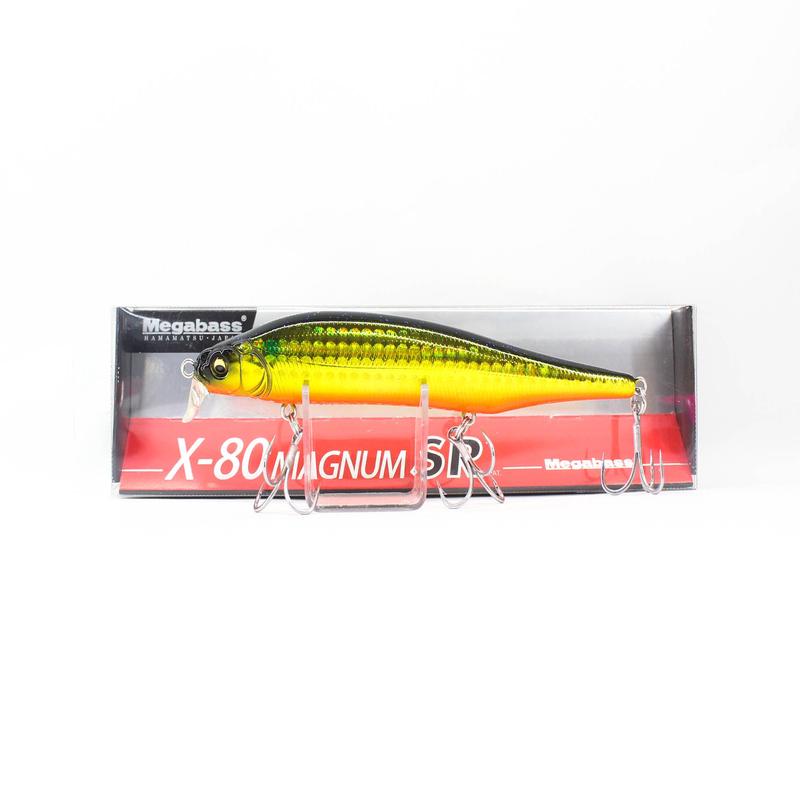 Megabass X-80 Magnum SR Floating Lure GG KInbora (2674)