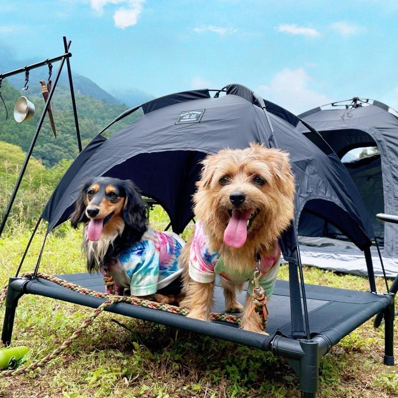 5050Workshop Animal Tent