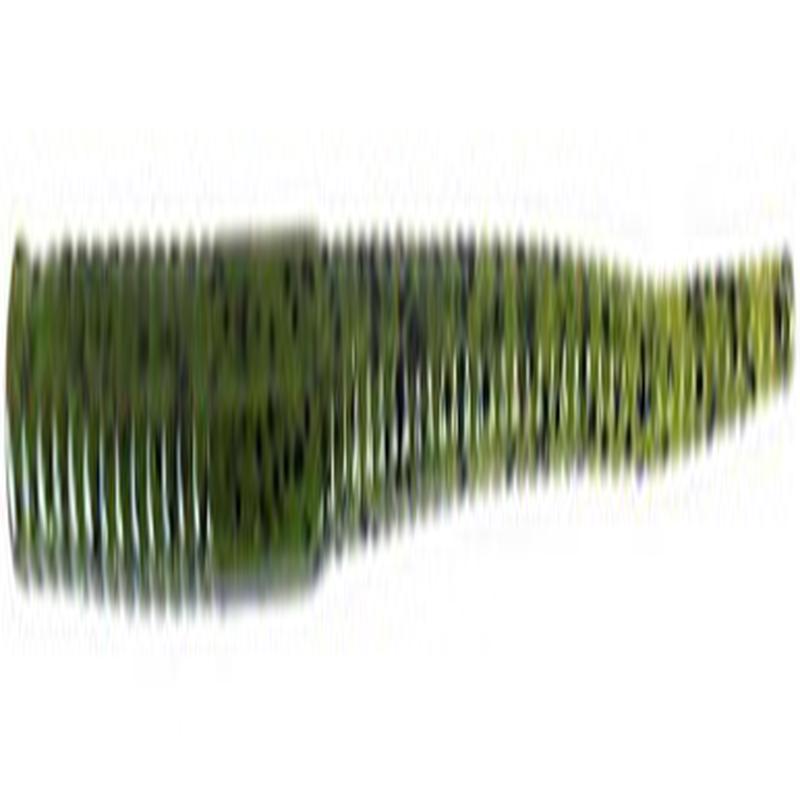 Zoom Shakey Head Worm - 5in - Watermelon Seed
