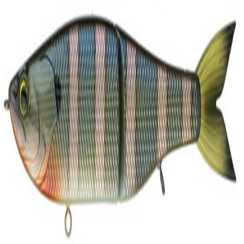 6th Sense Draw Glide Bait - 9in - Slow Sink - Bluegill Spawn