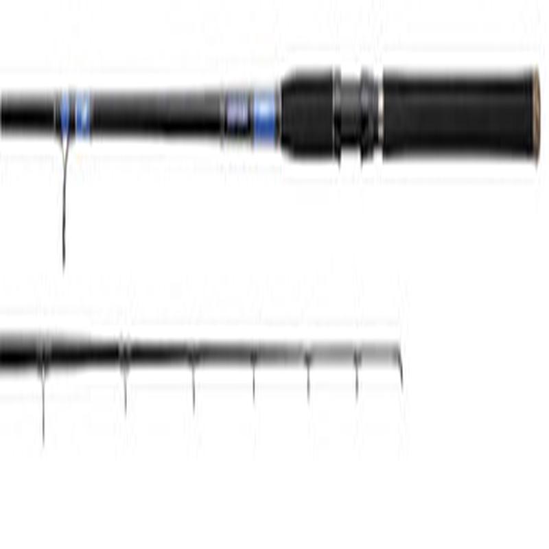 Daiwa BSS1202XXHFS Beefstick Surf Rod