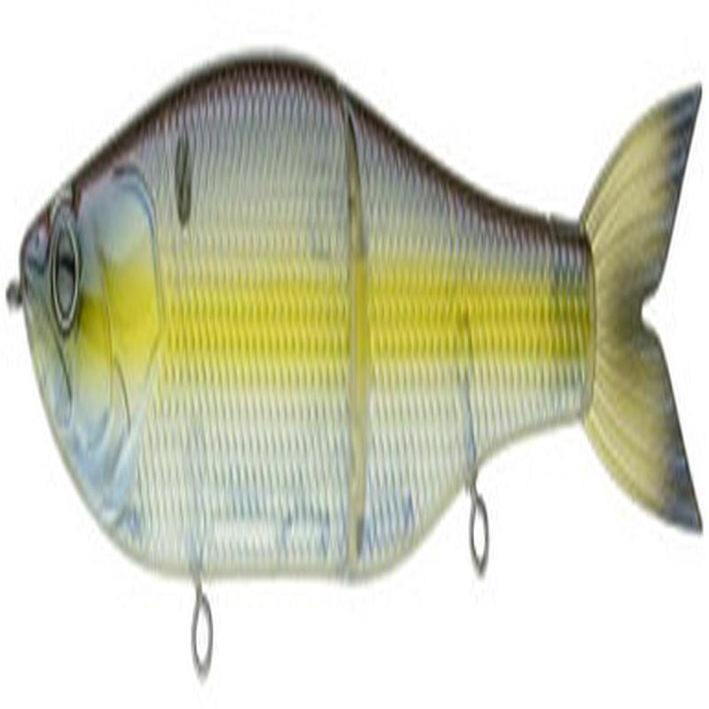6th Sense Draw Glide Bait - 9in - Slow Sink - Shad Sense