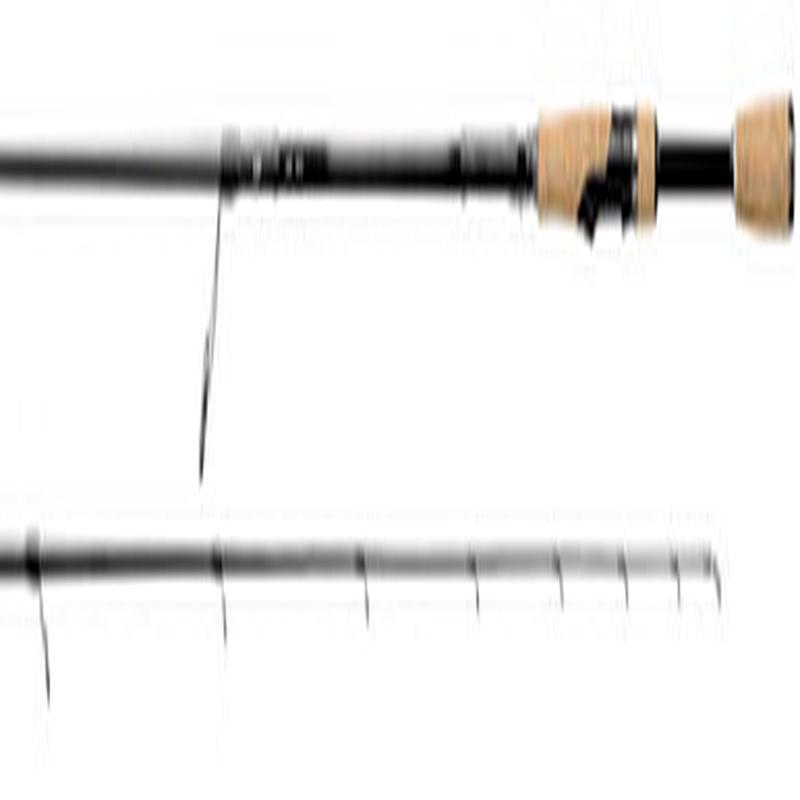 Daiwa TTU761MLMFS Tatula Bass Spinning Rod