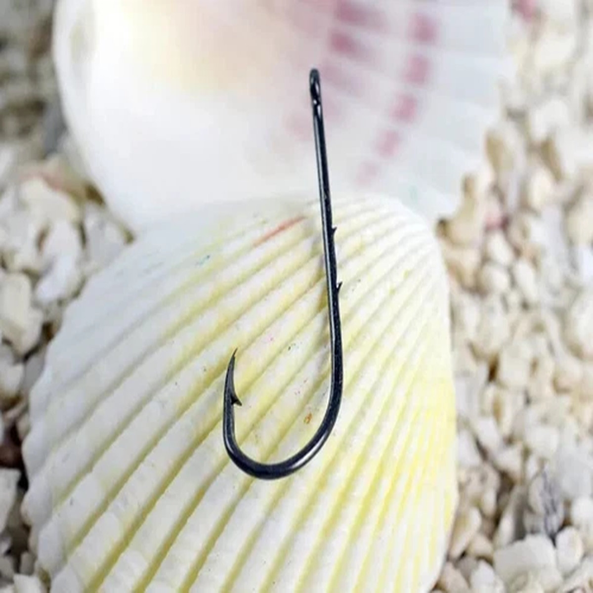 25,50,100 Baitholder bait holder fishing hooks 1/0-3/0. Ships free/fast USA
