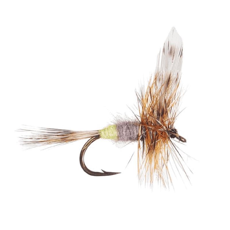 Adams Female Dry Fly