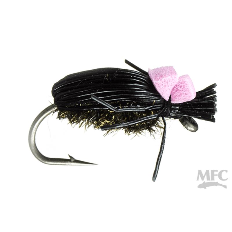 Crow Beetle